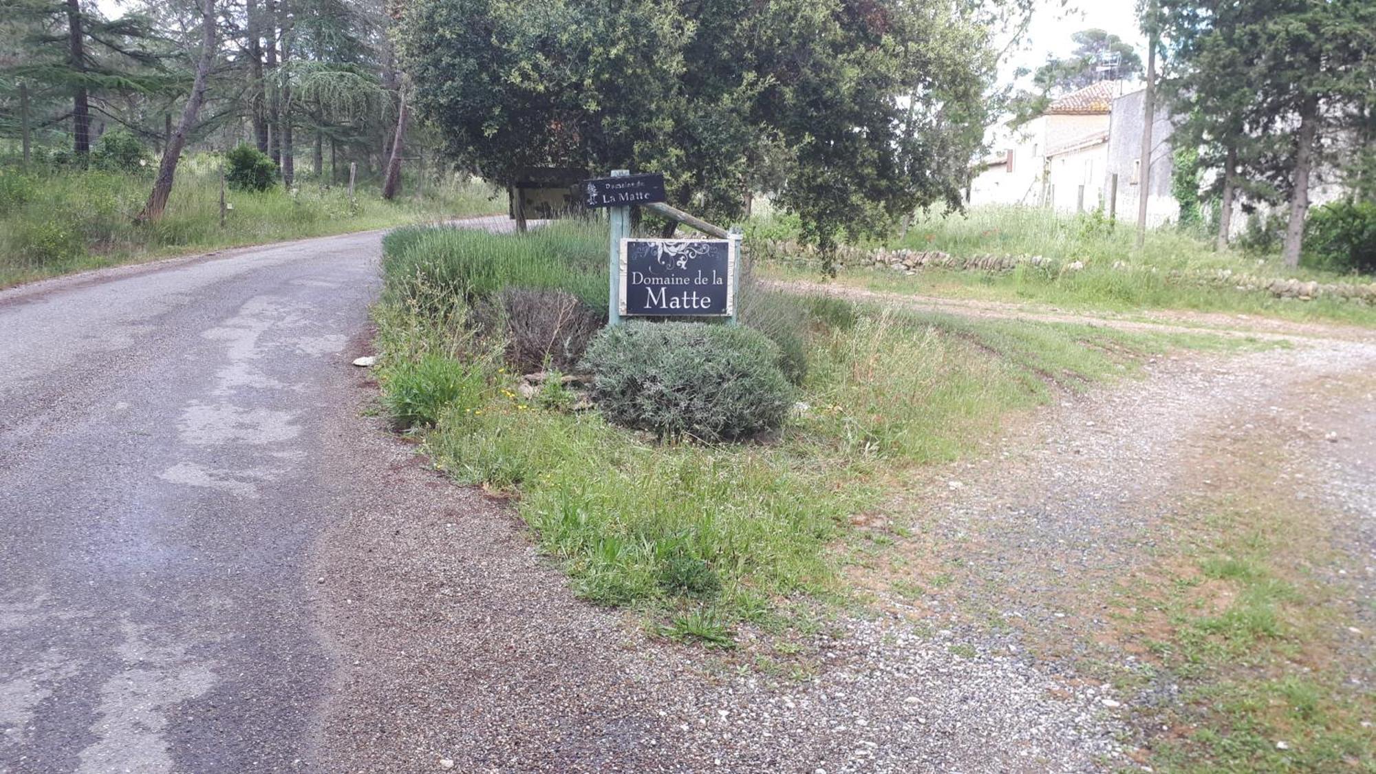 Domaine De La Matte Acomodação com café da manhã Conques-sur-Orbiel Exterior foto